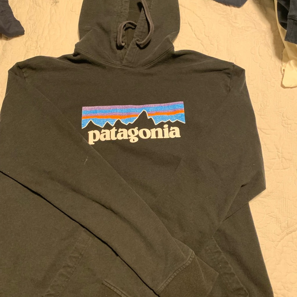 Patagonia large hoodie
